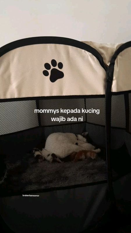 kalau nak tahu saiz apa boleh komen #pettent #pethouse #sangkarkucing