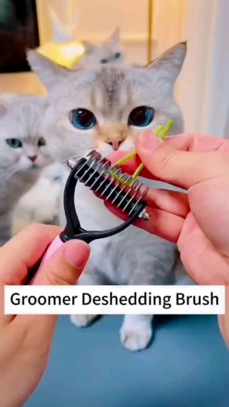 #pethair  #knotremovalcomb  #dog  #cat  #groomingtools  #trimmerbrush  Pet #furcomb  #sikatkucing  #sisirbulu