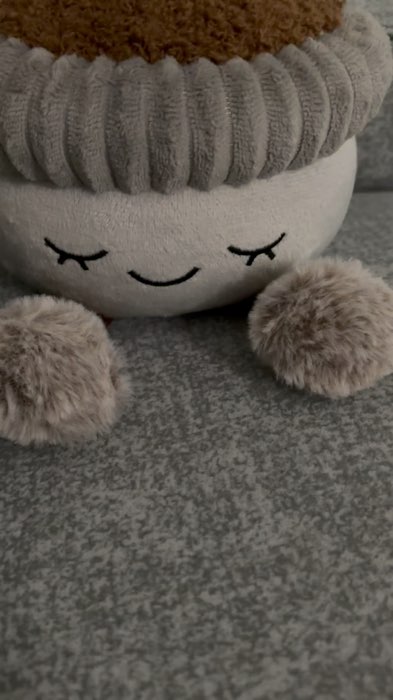 #cute #plushie #flowerplushie #pot #decoration #homedeco#home #deco #shopee