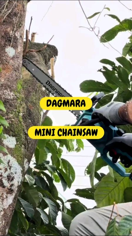 #Dagmara #Minichainsaw #Gergaji #Chainsaw #Electroniczone #Trending #Viral #Fyp